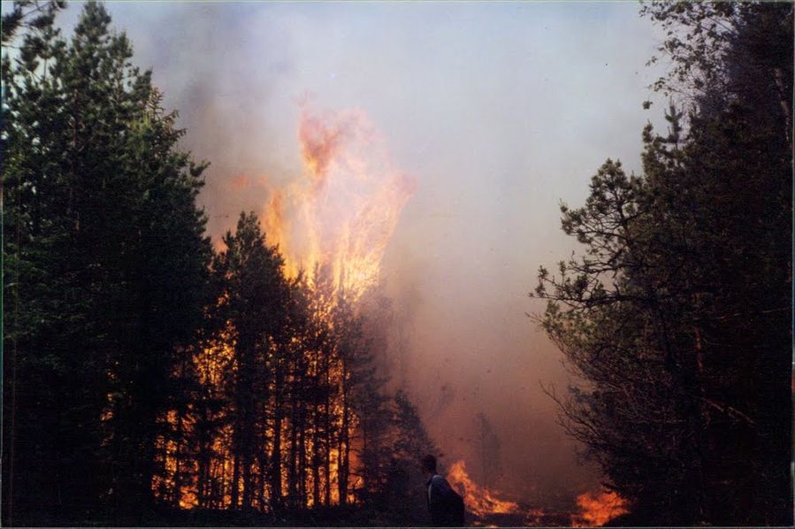 Paunküla raba juuni 2001
Harv hetk kui ühtel tuletõrjujal oli kriitilisel hetkel piisavalt aega, et teha üks pilt rabapõlengust. Kustutajateks hetkel endise TÜPK tuletõrjevahtkond.
Võtmesõnad: Paunküla raba, tulekahju, metsapõleng 2001, metsatulekahju, Tallinna Üksik- Päästekompanii